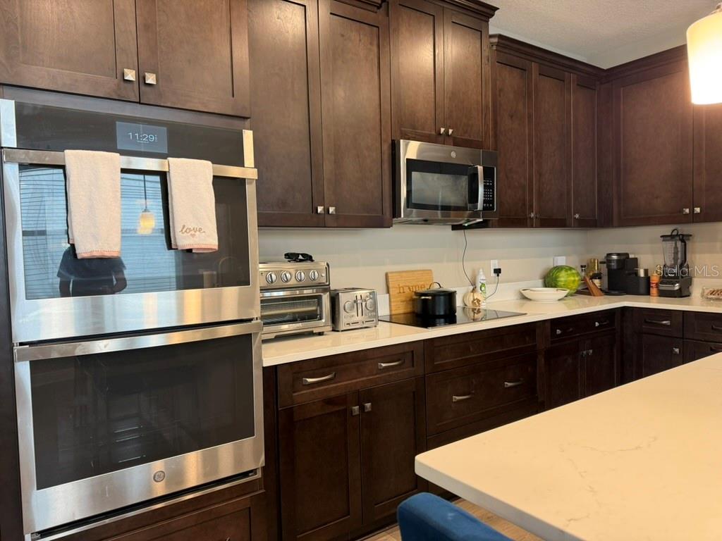 7749 Bronze Oak, Wesley Chapel, FL 33545