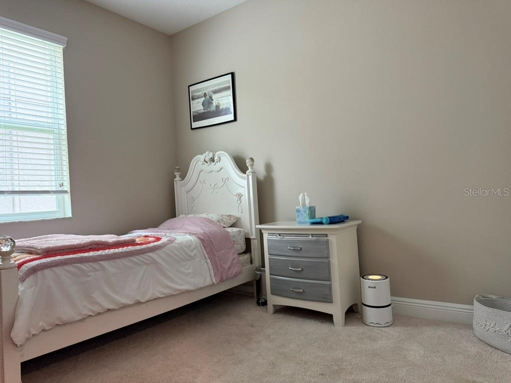 7749 Bronze Oak, Wesley Chapel, FL 33545