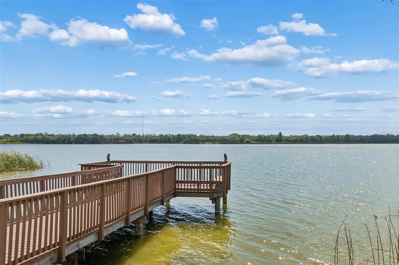 7903 Seminole Unit 2401, Seminole, FL 33772