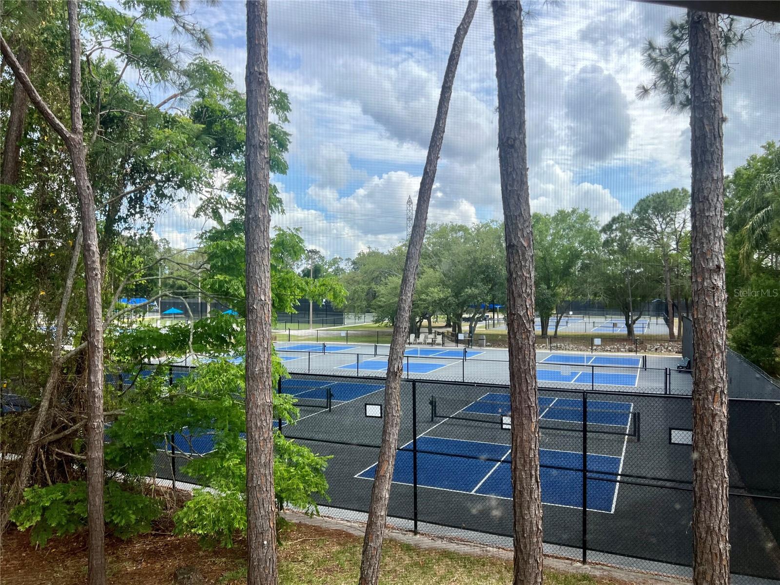 142 Woodlake Wynde Unit 48, Oldsmar, FL 34677