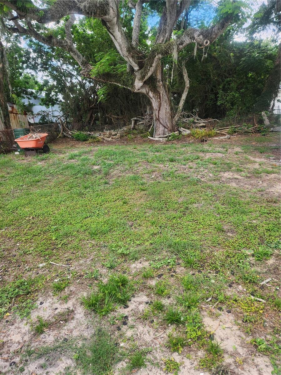 2429 Lakeview, Lakeland, FL 33801