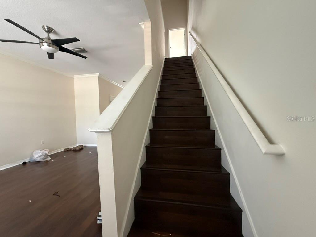 11537 Declaration, Tampa, FL 33635
