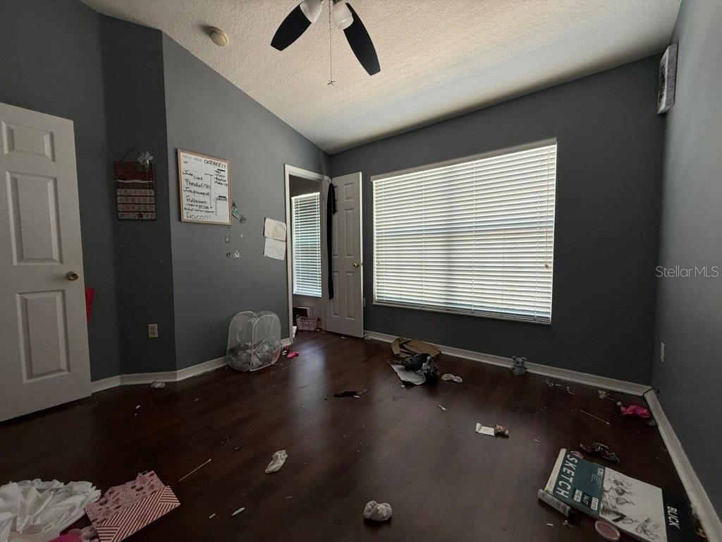 11537 Declaration, Tampa, FL 33635