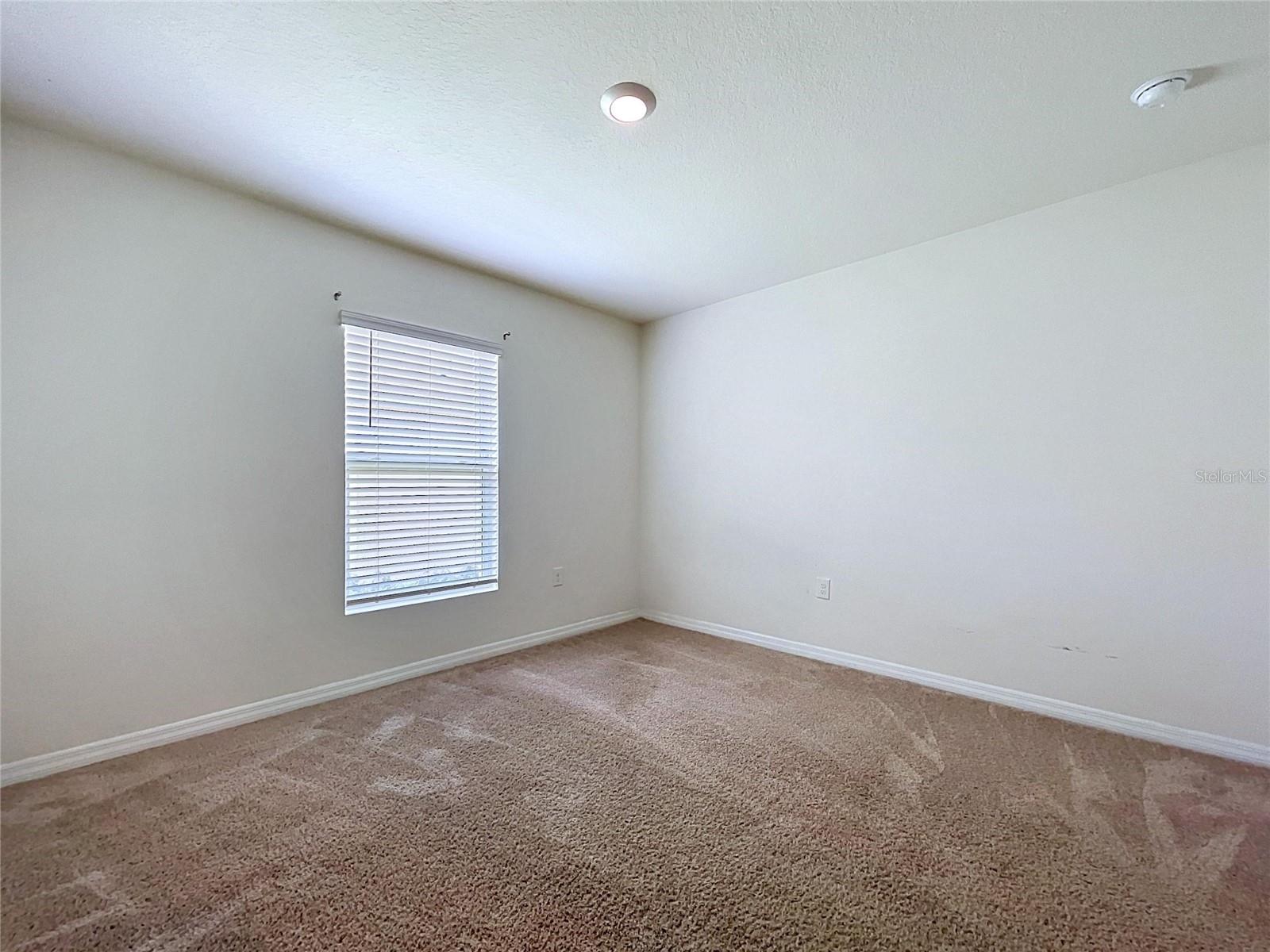 7804 Davie Ray, Zephyrhills, FL 33540