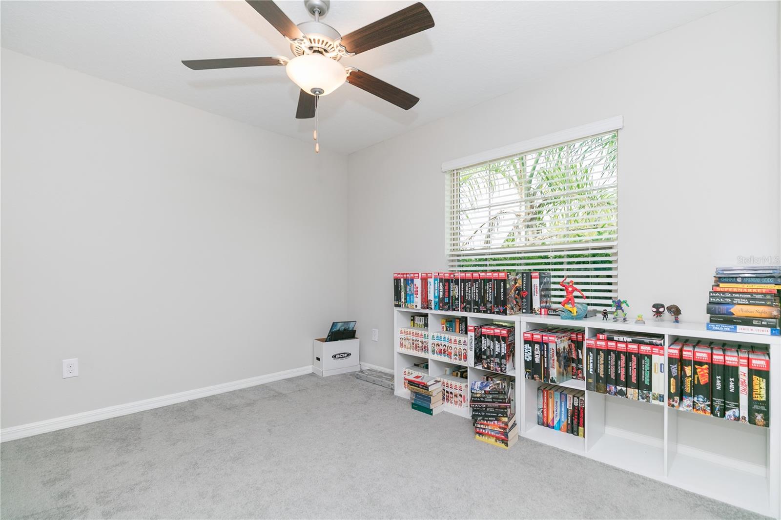 13608 Willow Bluestar, Riverview, FL 33579