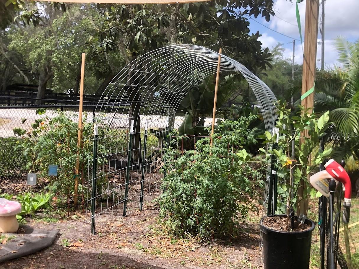19801 Gunn, Odessa, FL 33556
