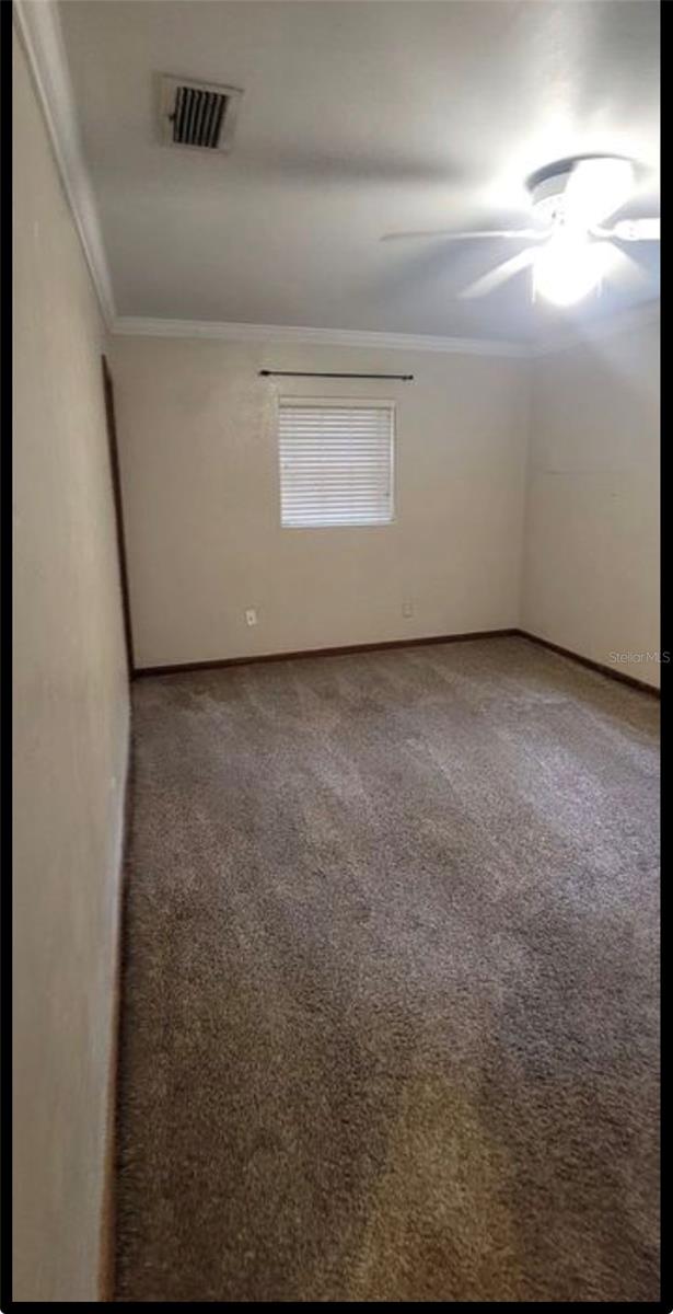 3805 50th, Gainesville, FL 32606
