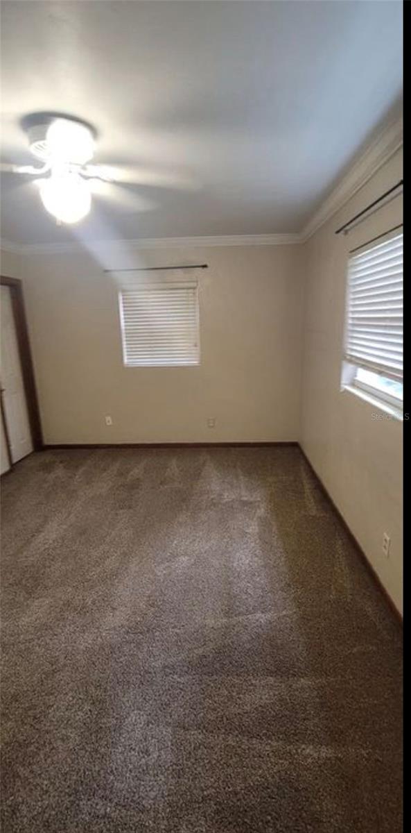 3805 50th, Gainesville, FL 32606