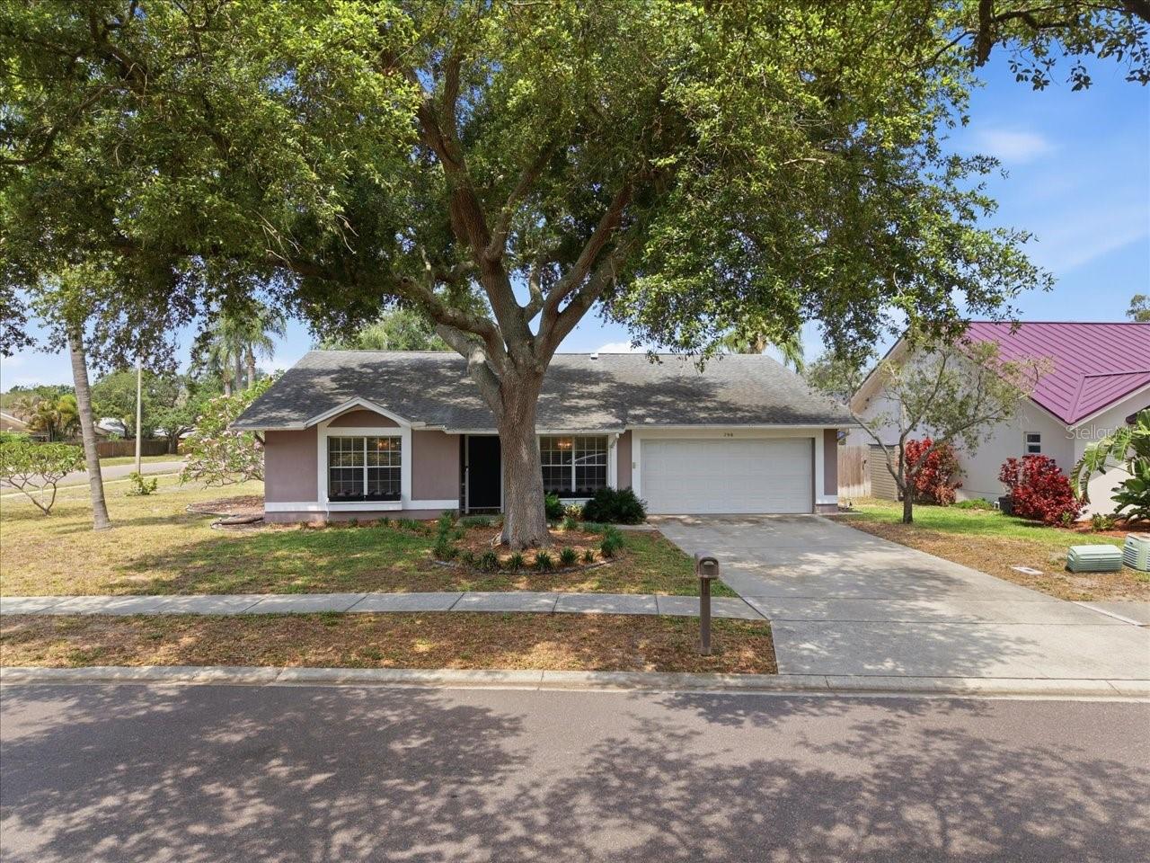 798 Countryshire, Palm Harbor, FL 34683