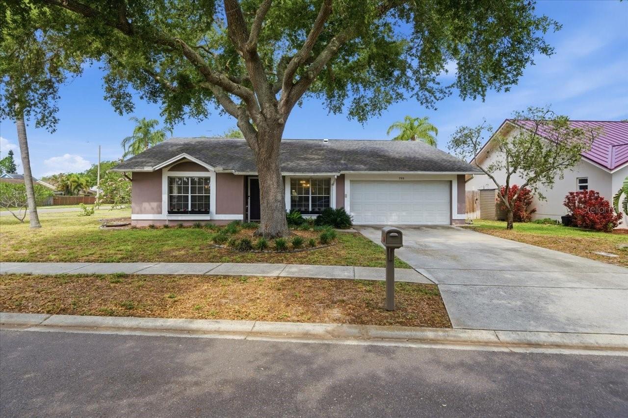 798 Countryshire, Palm Harbor, FL 34683