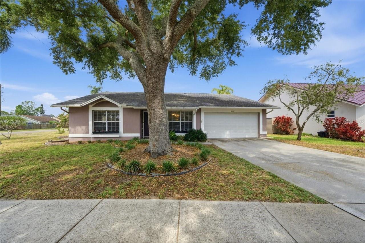 798 Countryshire, Palm Harbor, FL 34683