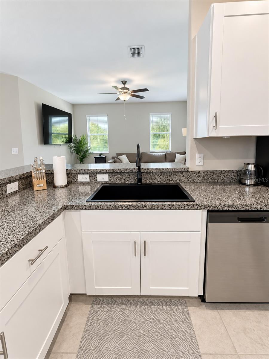 9601 Flourish, Land O Lakes, FL 34637