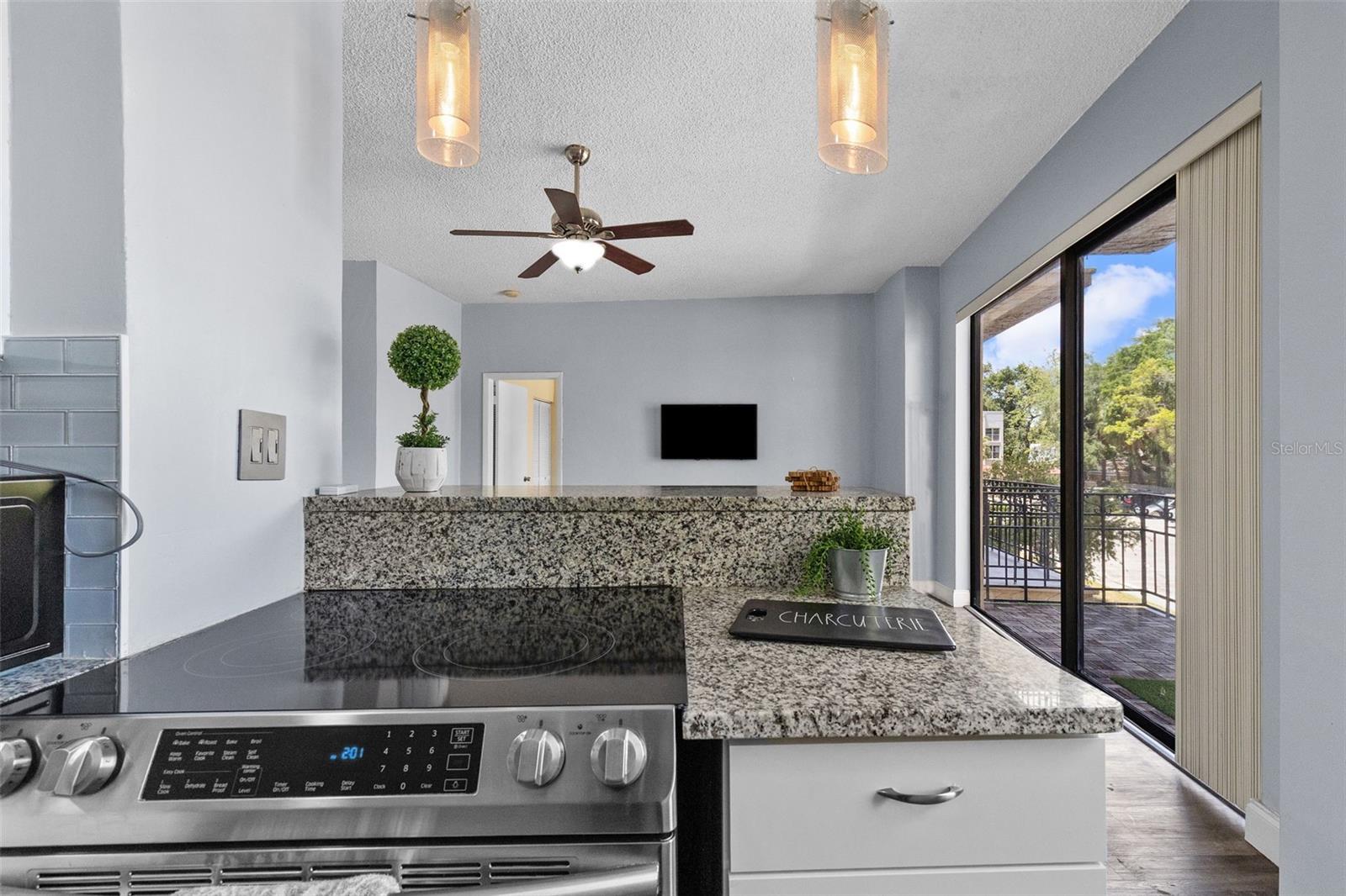 2109 Bayshore Unit 205, Tampa, FL 33606