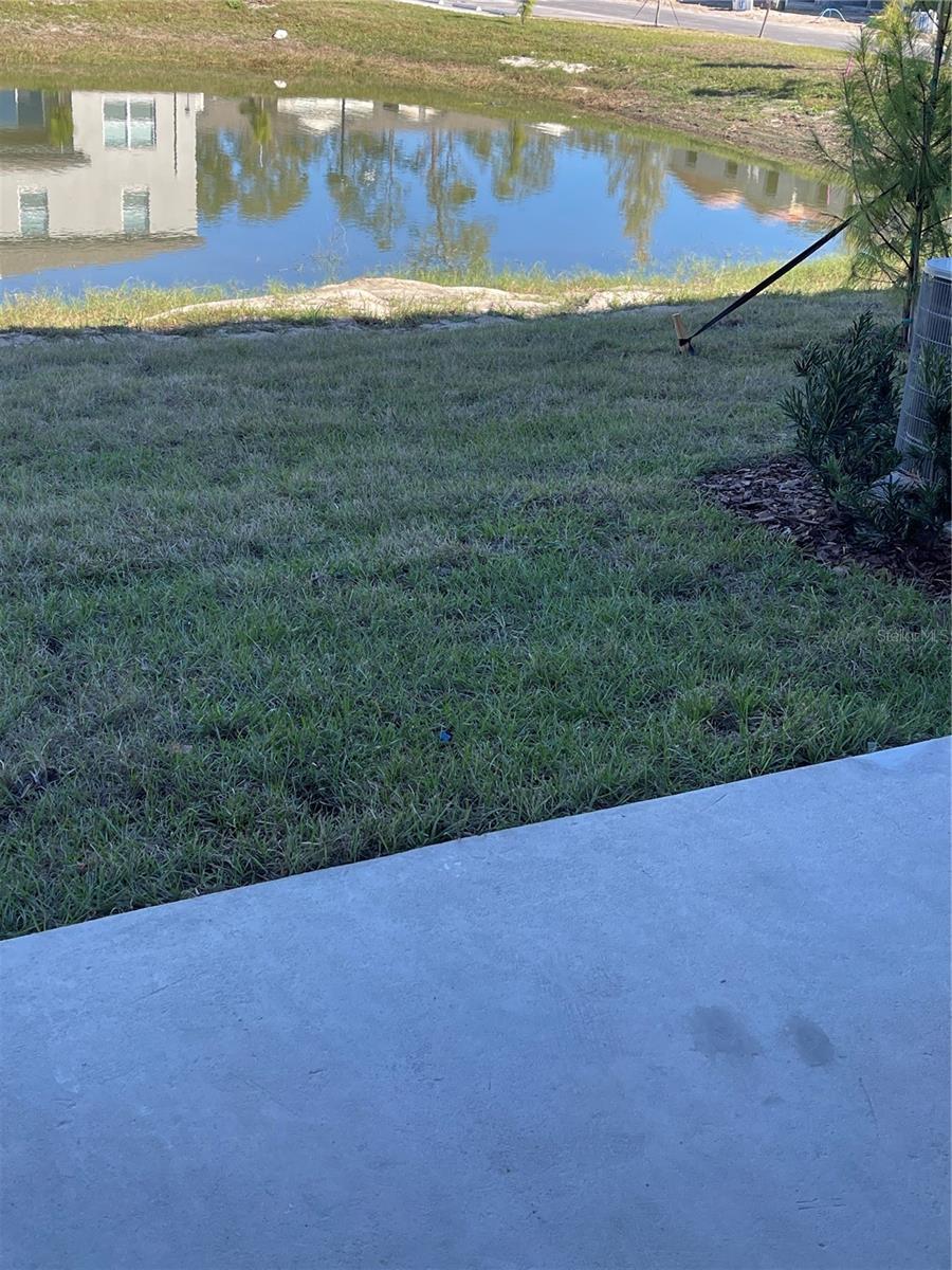 36217 Risa Michele, Zephyrhills, FL 33541