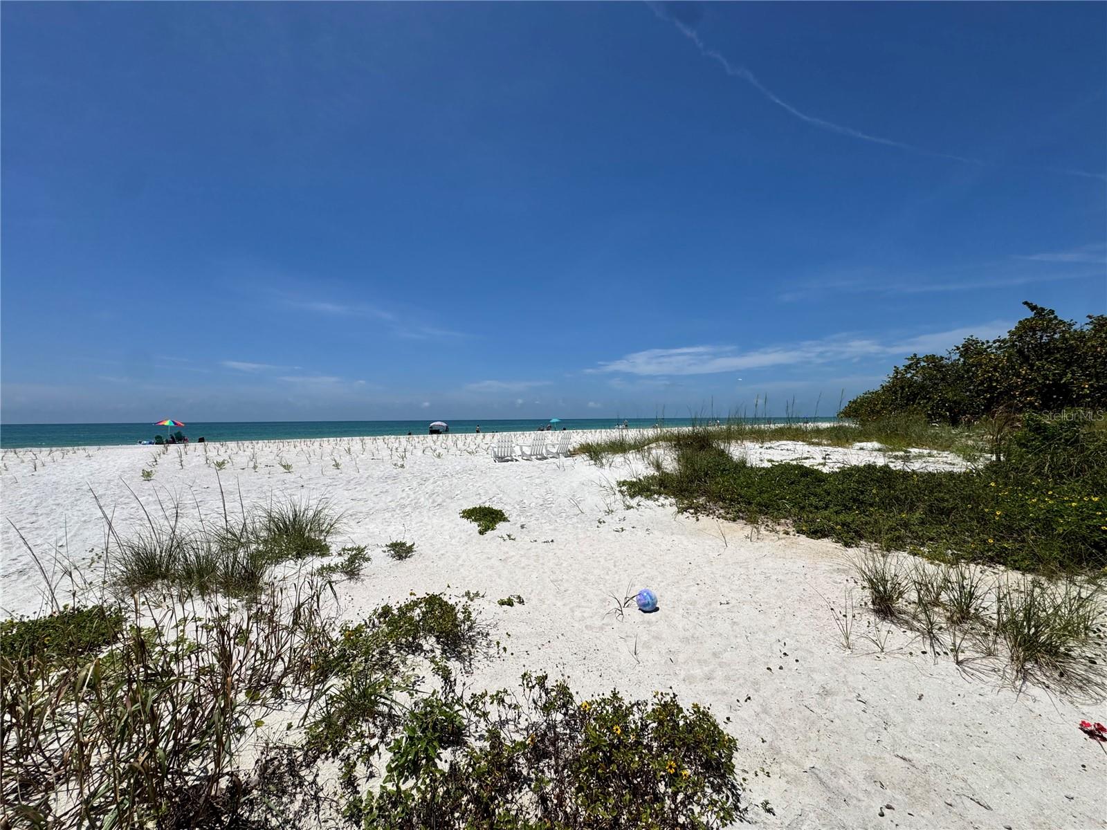 18838 Gulf Unit 202, Indian Shores, FL 33785
