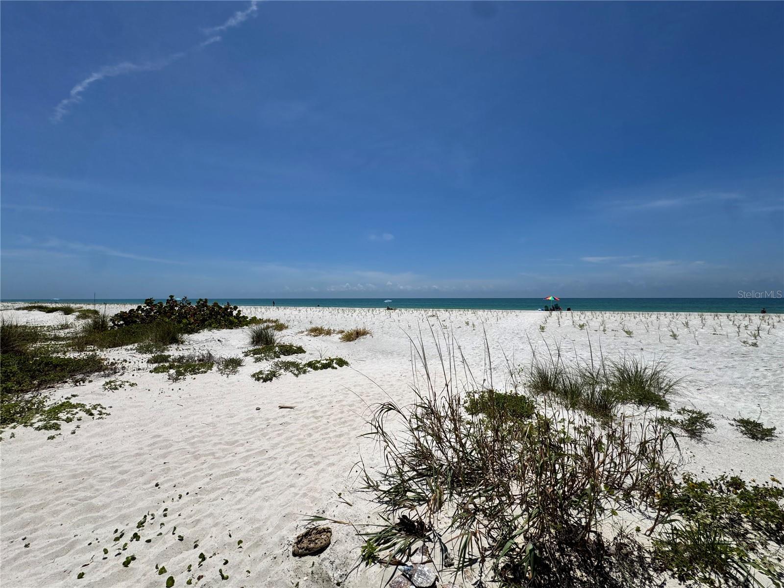 18838 Gulf Unit 202, Indian Shores, FL 33785