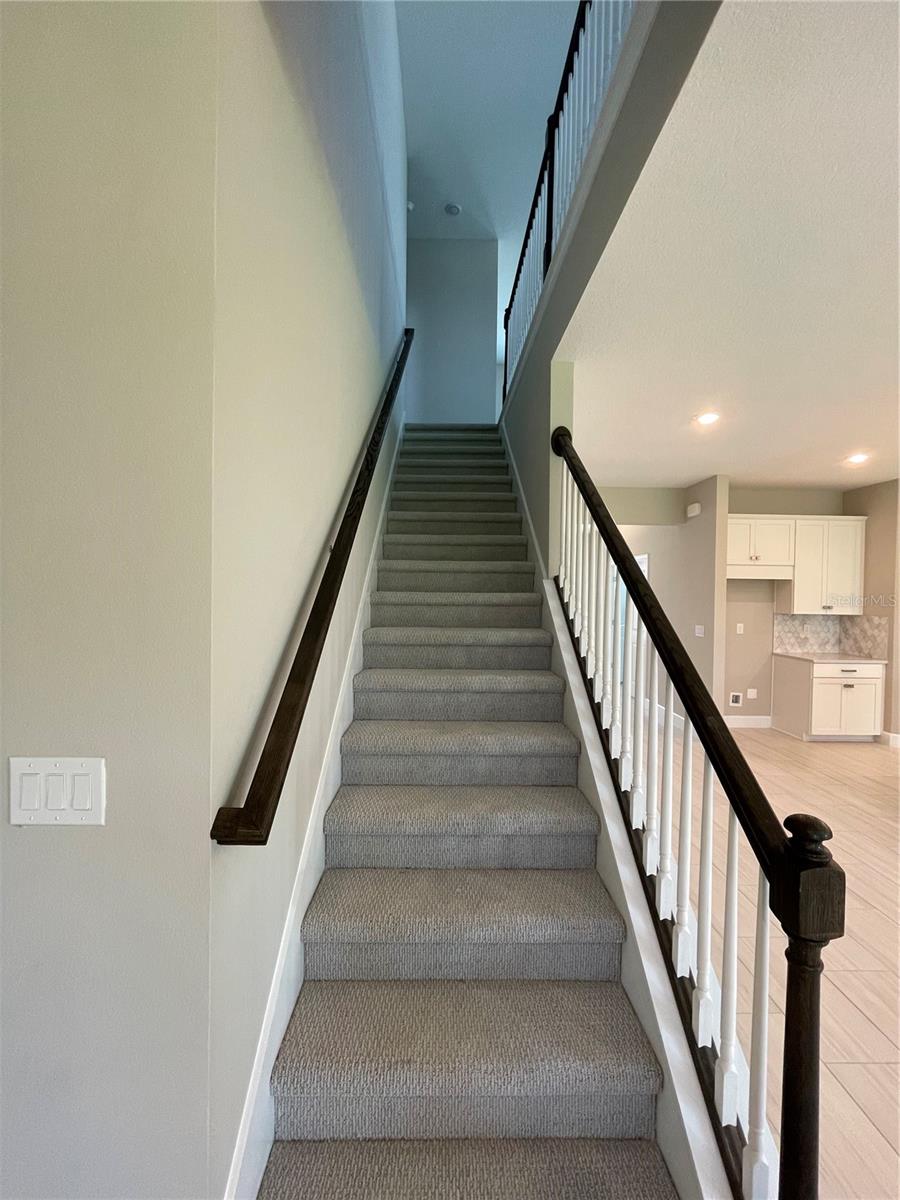 34286 Evergreen Hill, Wesley Chapel, FL 33545