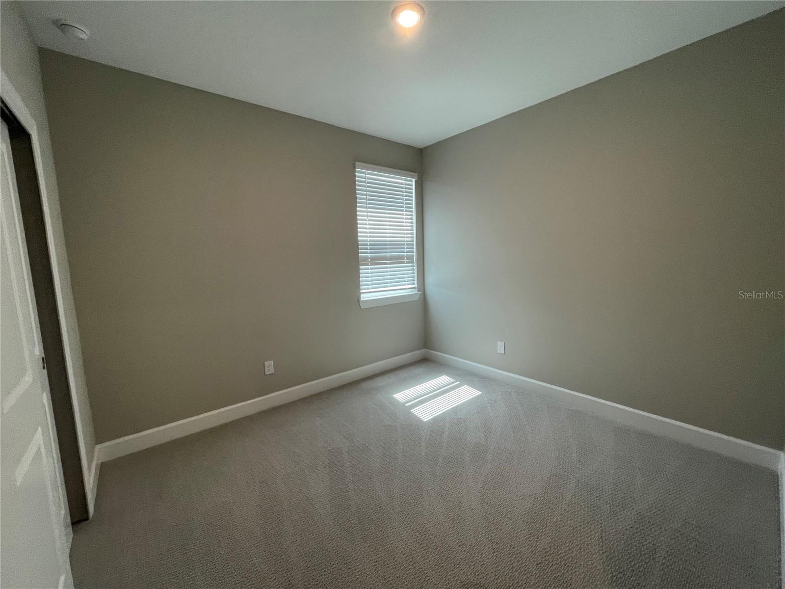 34286 Evergreen Hill, Wesley Chapel, FL 33545