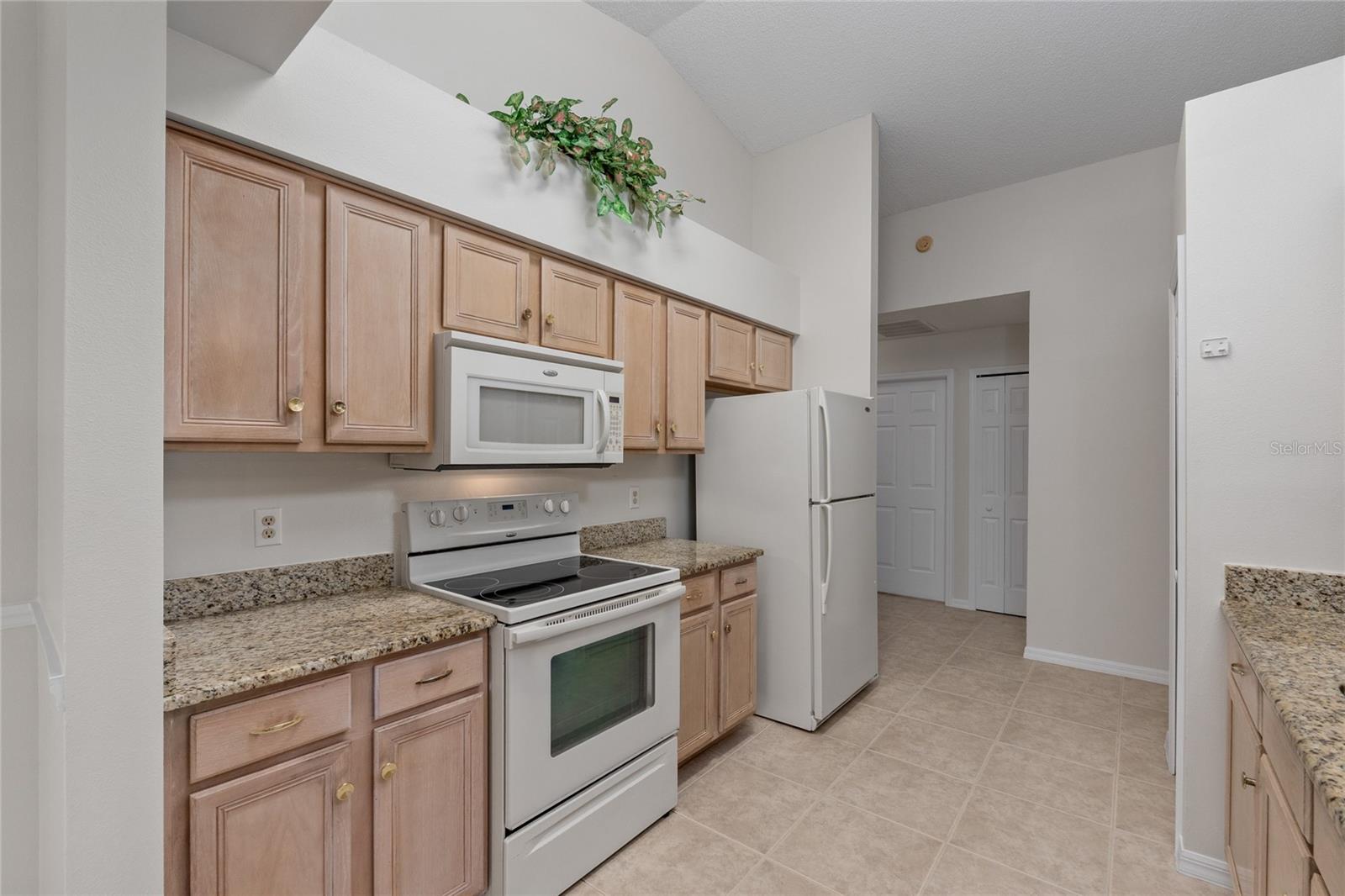 5319 Tangelo, Leesburg, FL 34748