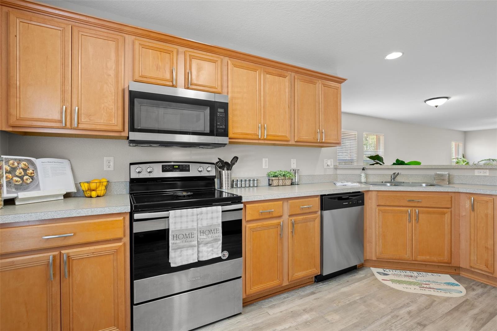 10924 Johanna, Riverview, FL 33578