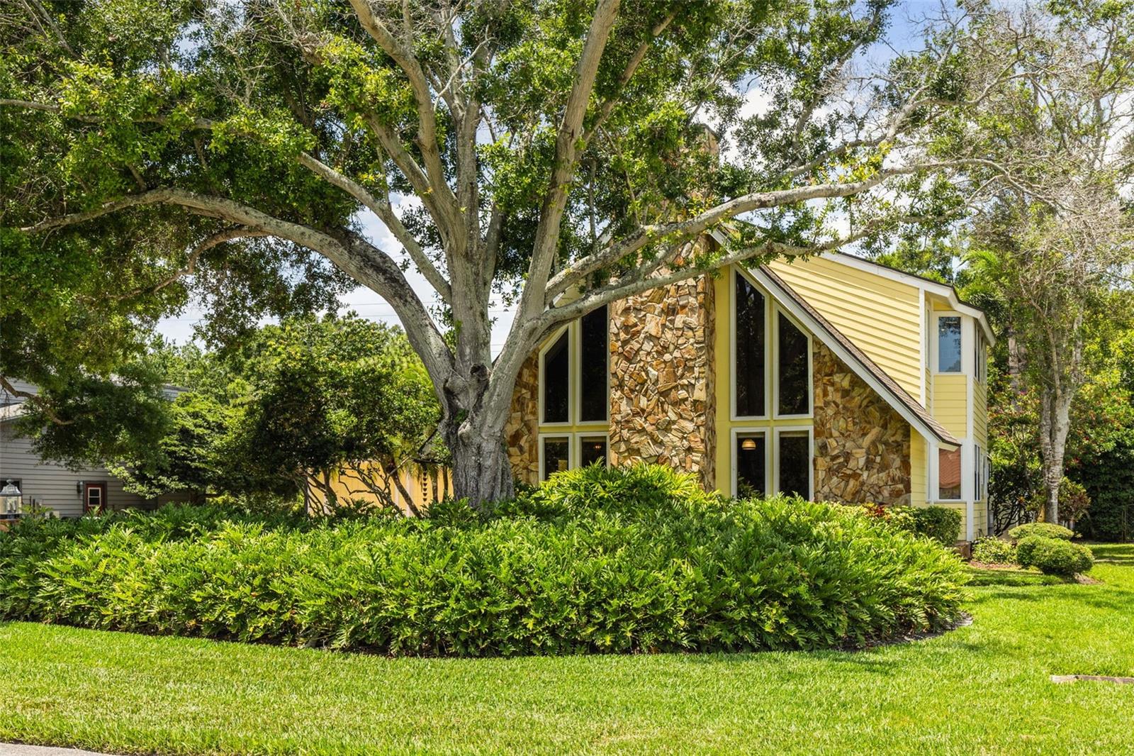 1944 Levine, Clearwater, FL 33760