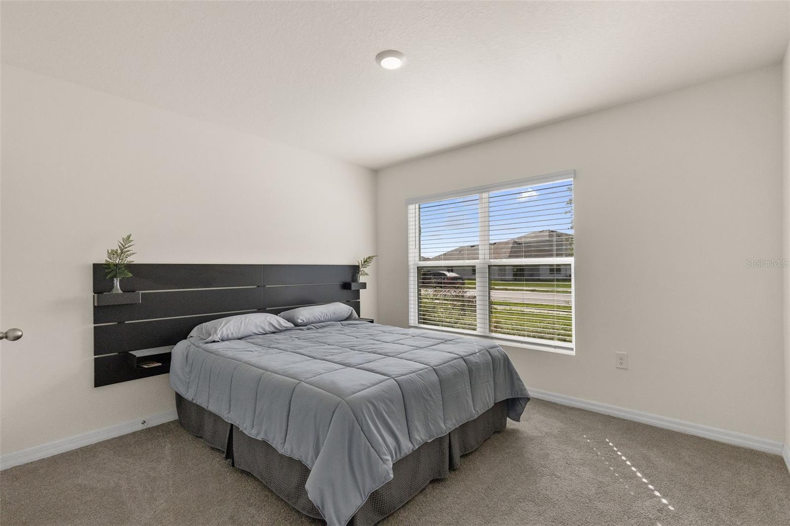 37207 Sharks Eye, Zephyrhills, FL 33541