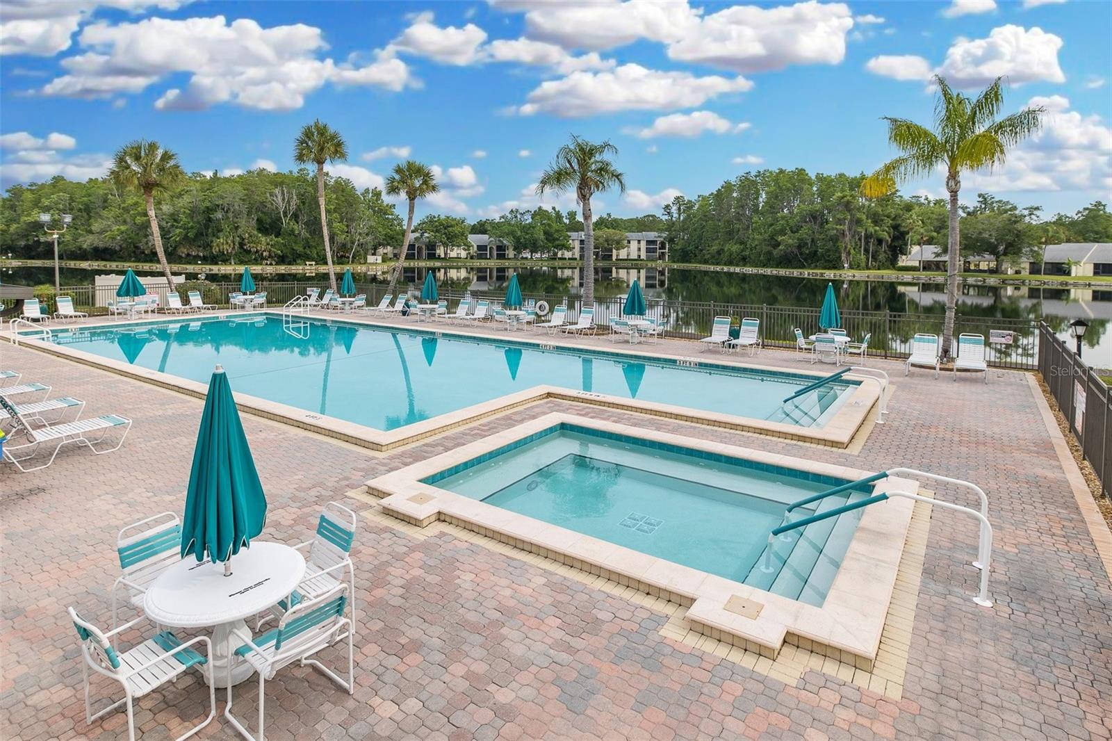 3166 Lake Pine Unit A2, Tarpon Springs, FL 34688