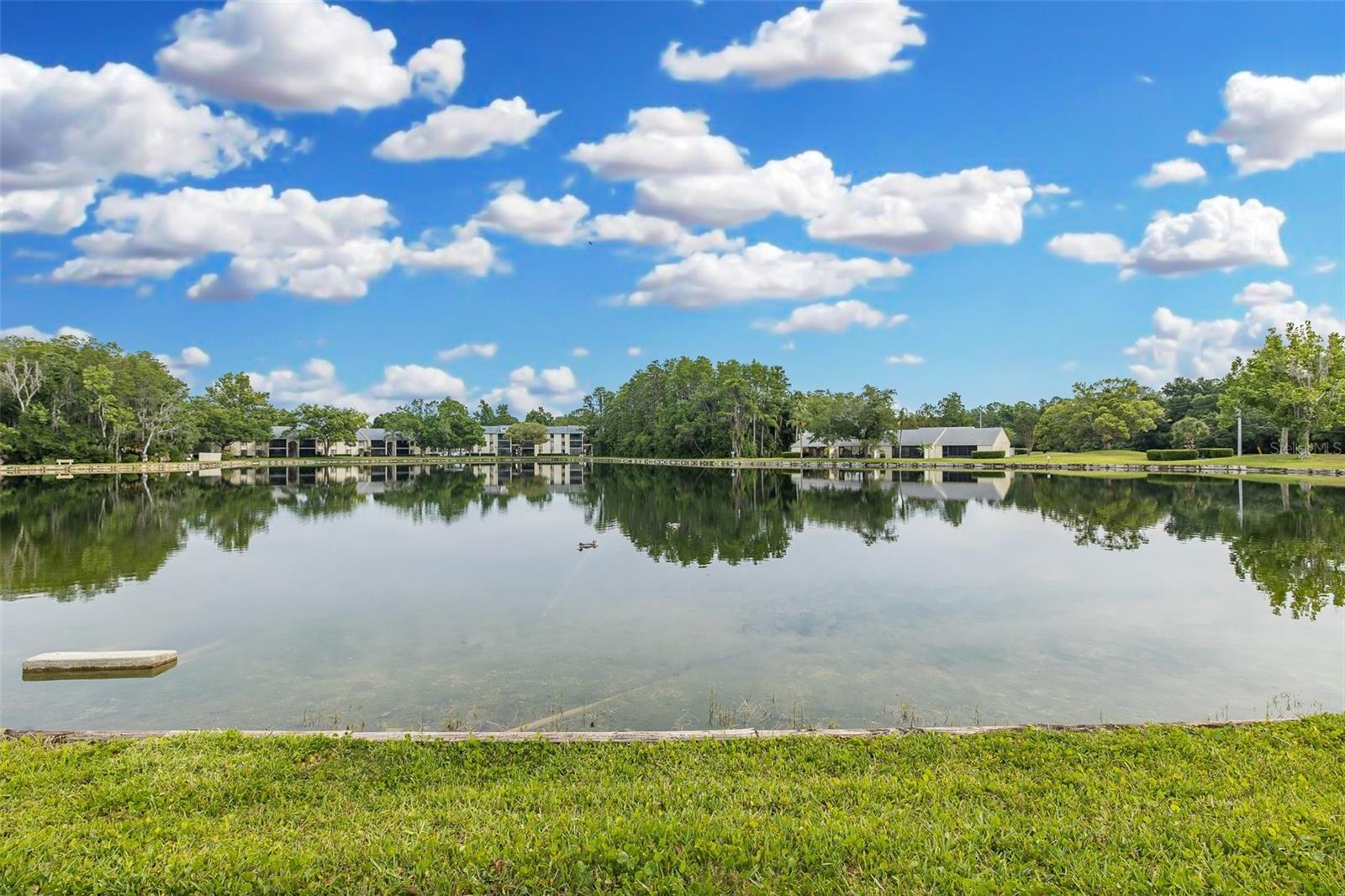 3166 Lake Pine Unit A2, Tarpon Springs, FL 34688