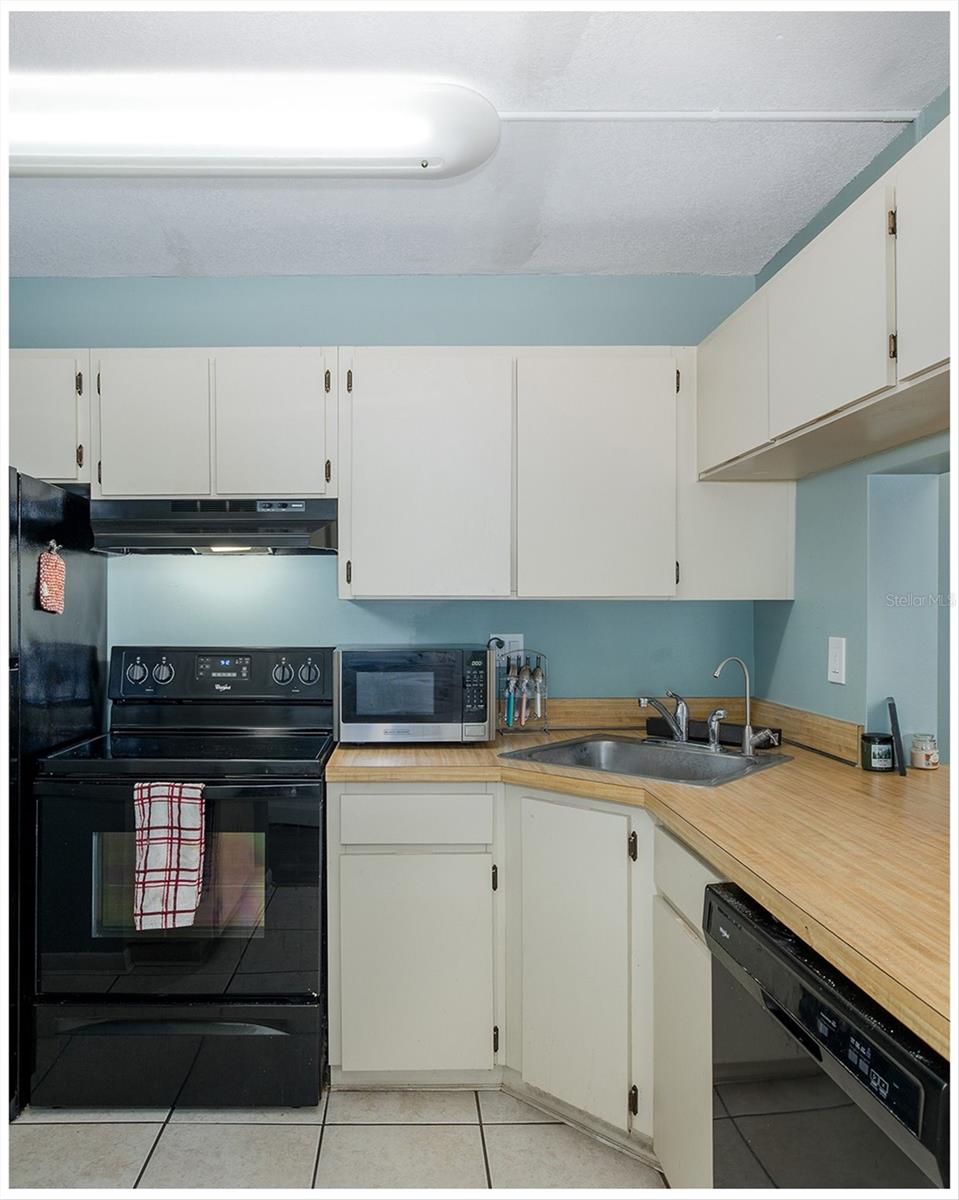 3166 Lake Pine Unit A2, Tarpon Springs, FL 34688