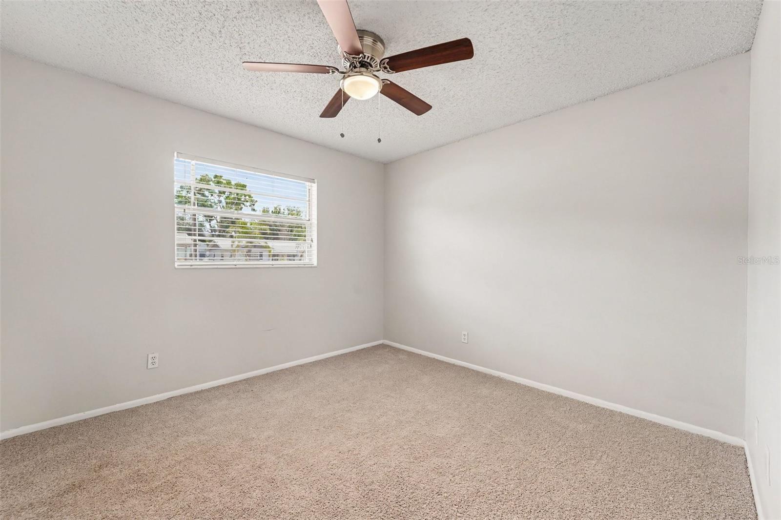 8308 Oleander, Tampa, FL 33637