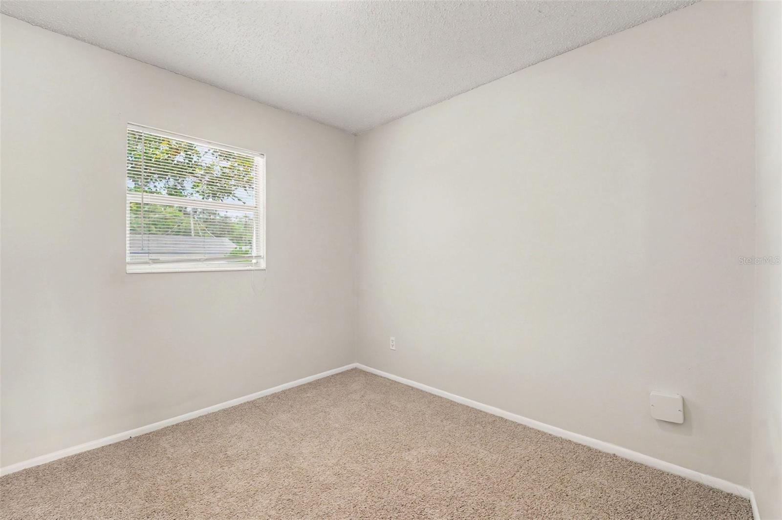 8308 Oleander, Tampa, FL 33637