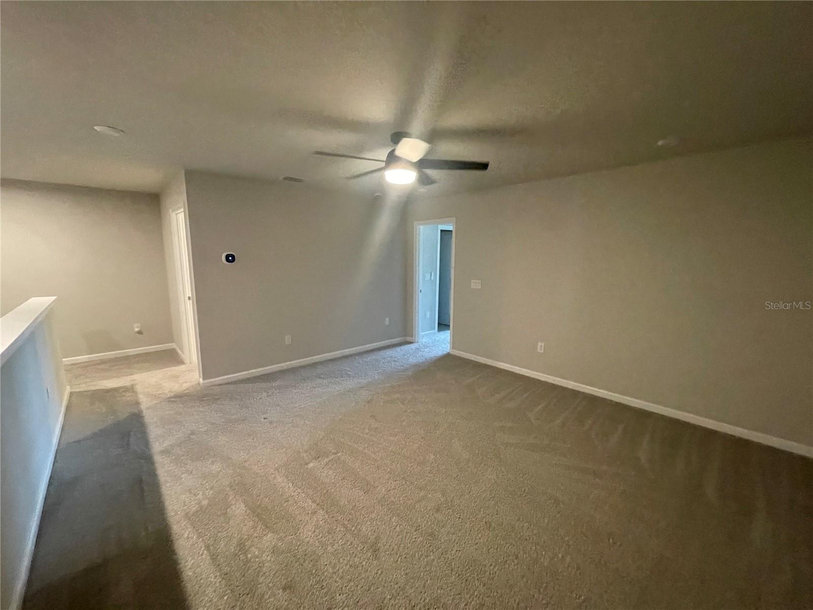 26068 Woven Wicker, Lutz, FL 33559