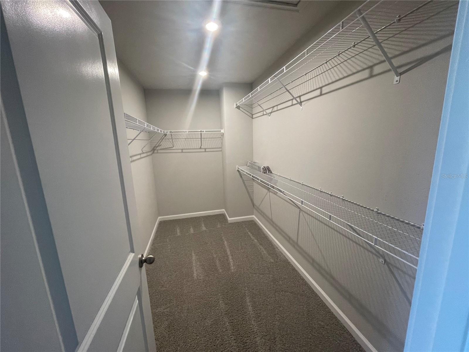 26068 Woven Wicker, Lutz, FL 33559