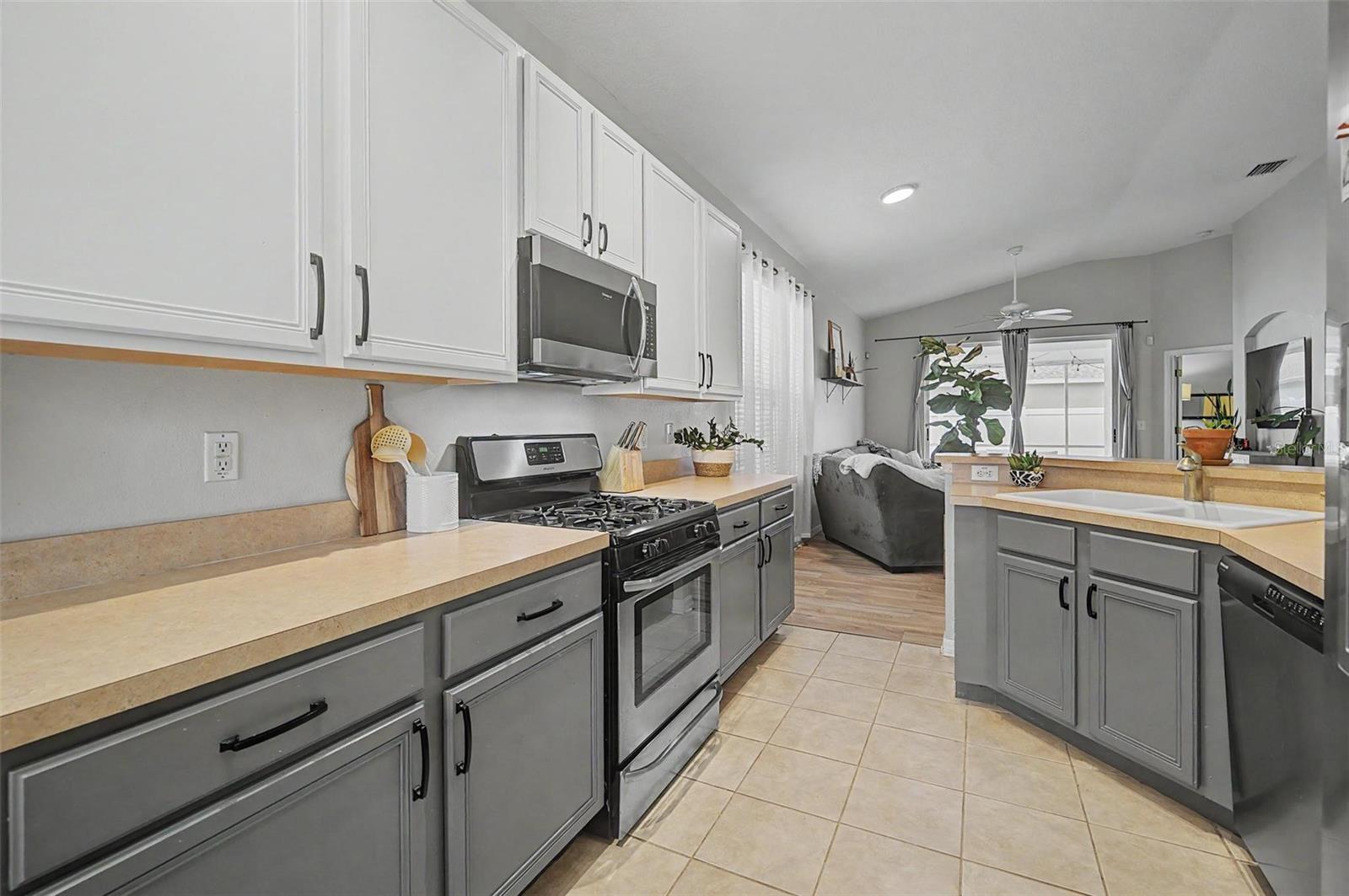 19309 Weymouth, Land O Lakes, FL 34638
