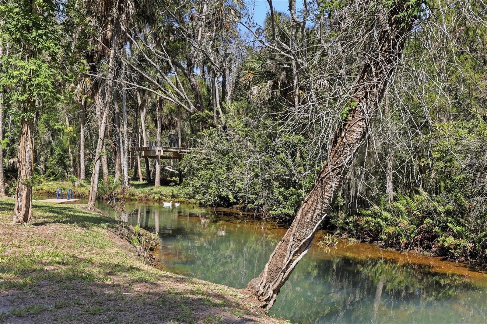 6244 Colony, Weeki Wachee, FL 34607