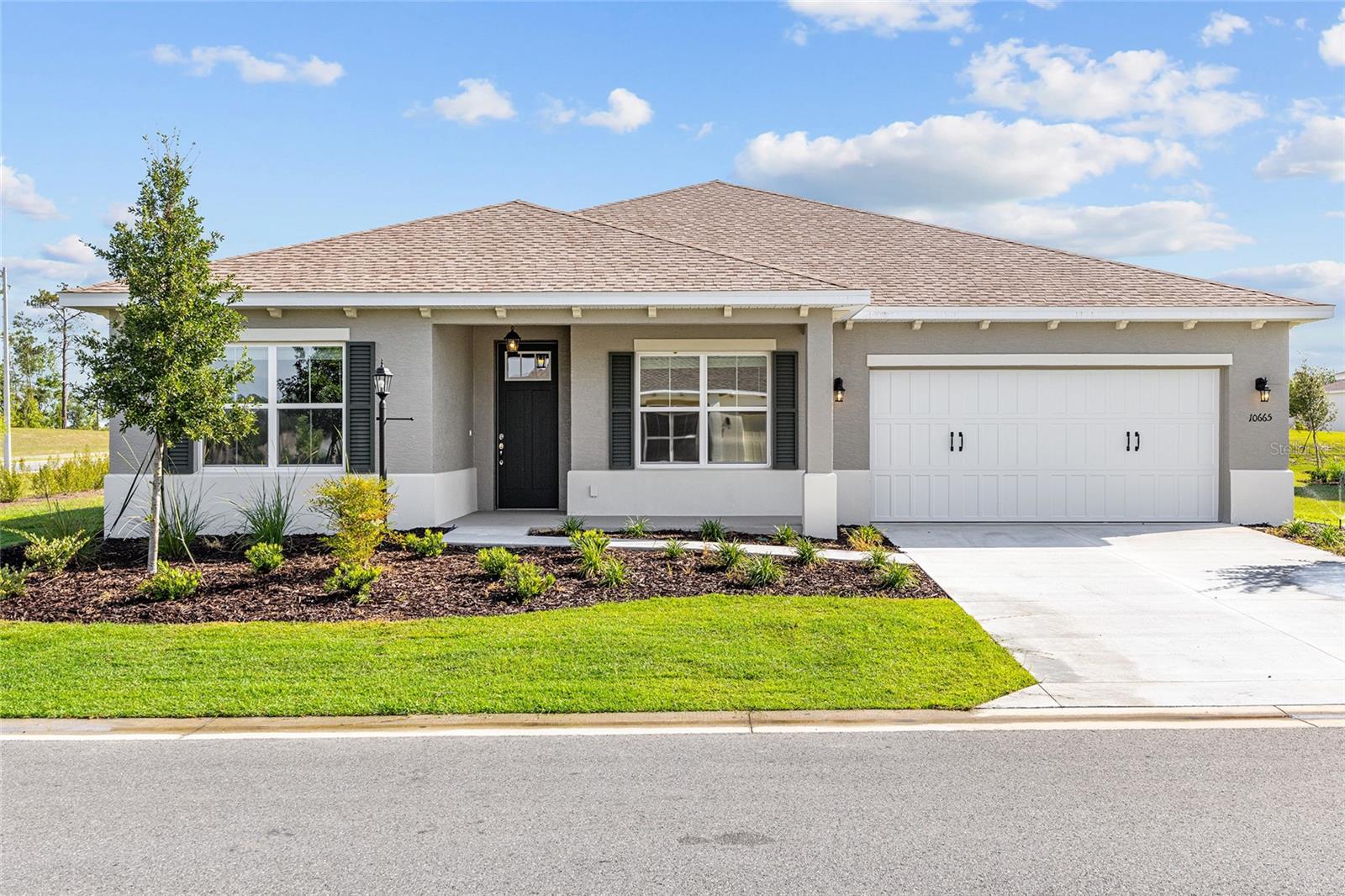 10665 101st Lane, Ocala, FL 34481