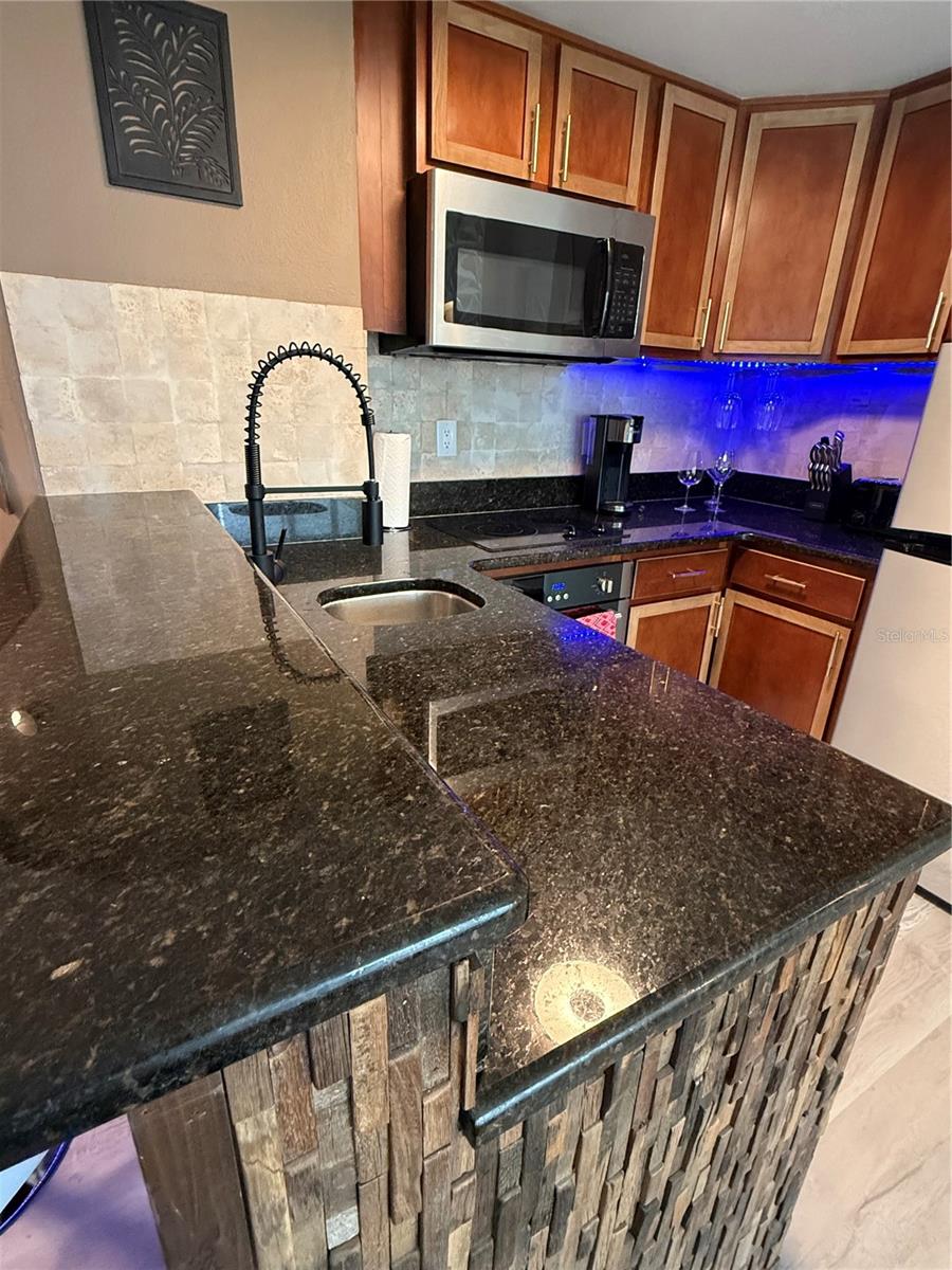 6165 Carrier Unit 1801, Orlando, FL 32819
