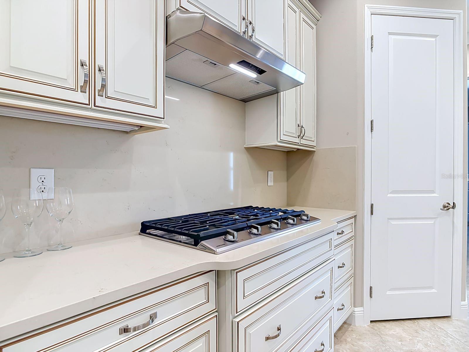 8461 Bridgeport Bay, Mount Dora, FL 32757