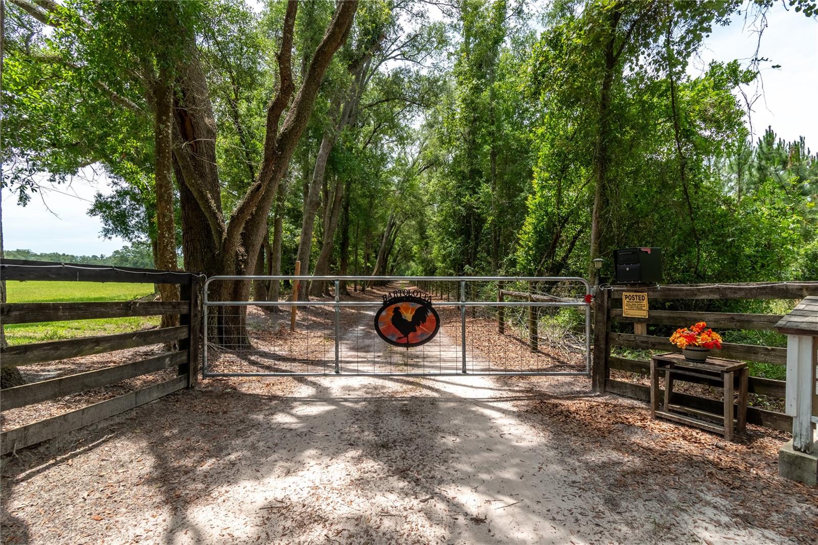 11990 156th, Mc Alpin, FL 32062