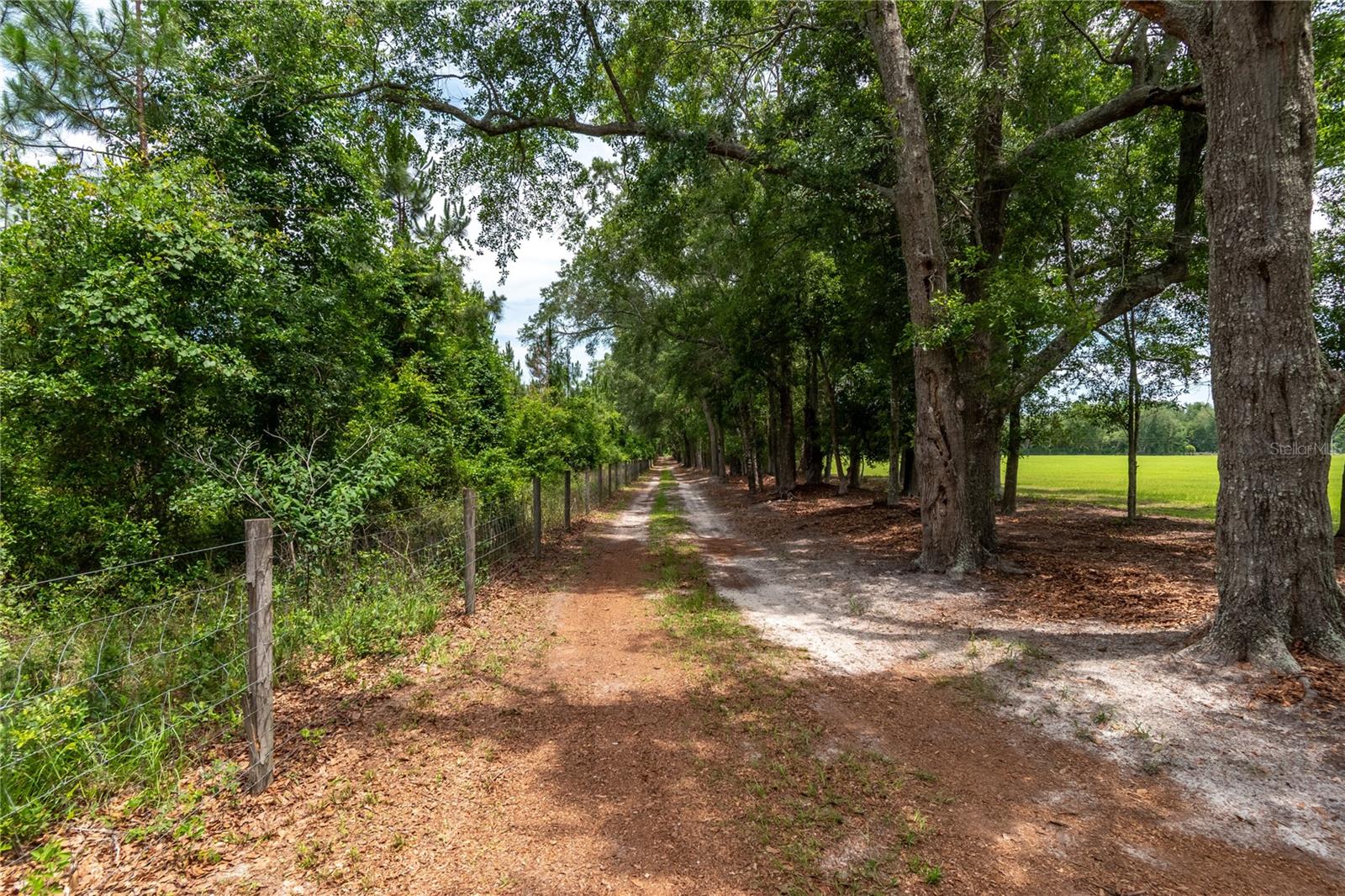 11990 156th, Mc Alpin, FL 32062