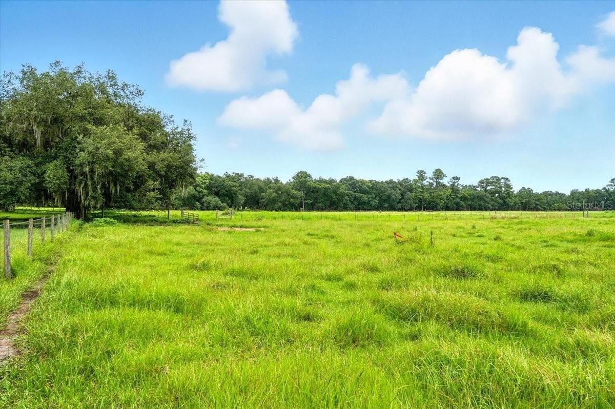 39410 Sparkman, Dade City, FL 33525