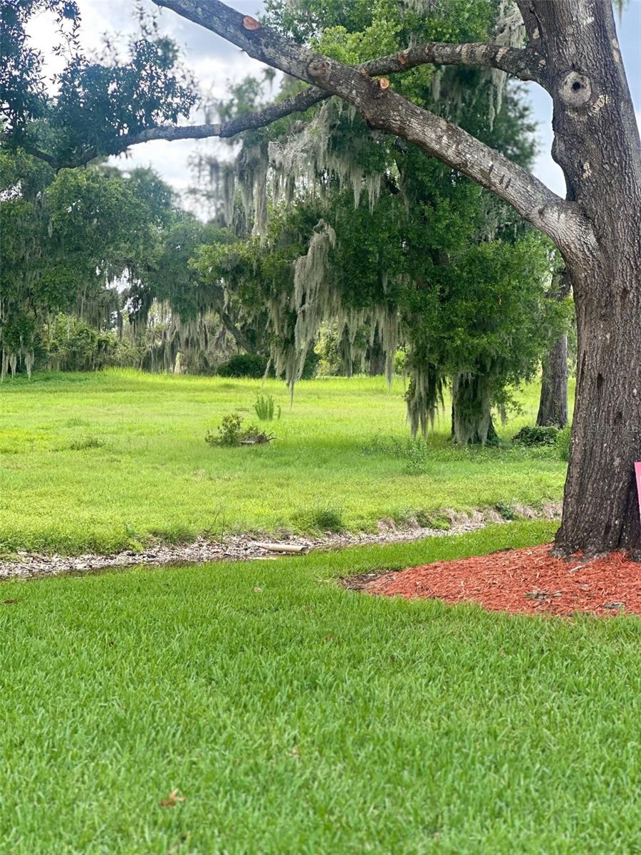 6118 Topher Unit 6118, Mulberry, FL 33860