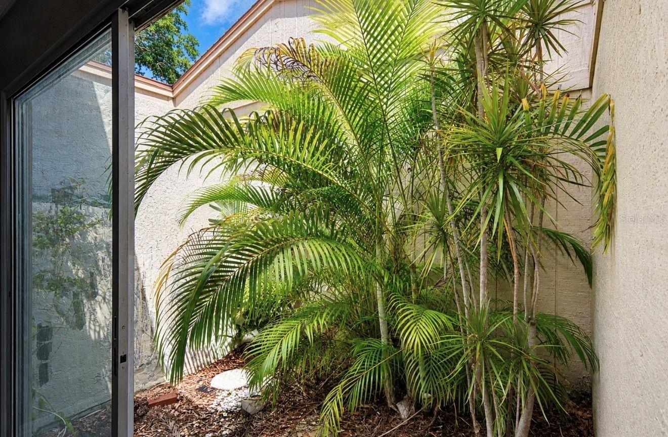 3506 Auburn Unit 230, Sarasota, FL 34231