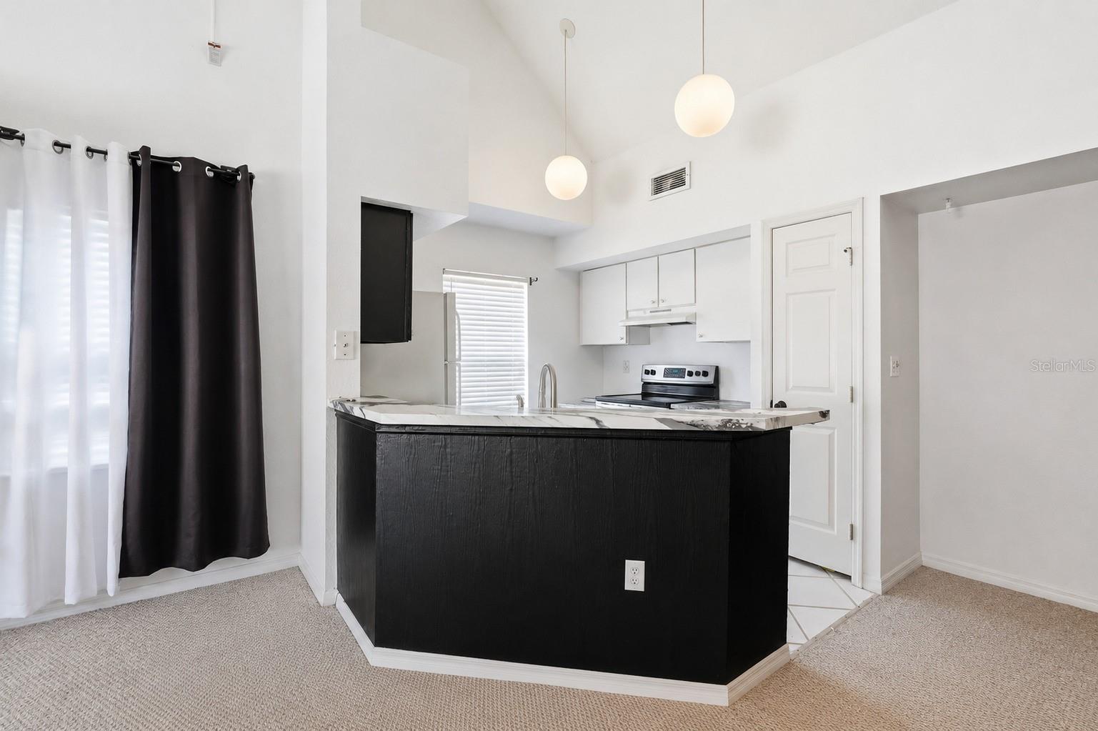 10436 White Lake Unit 10436, Tampa, FL 33626