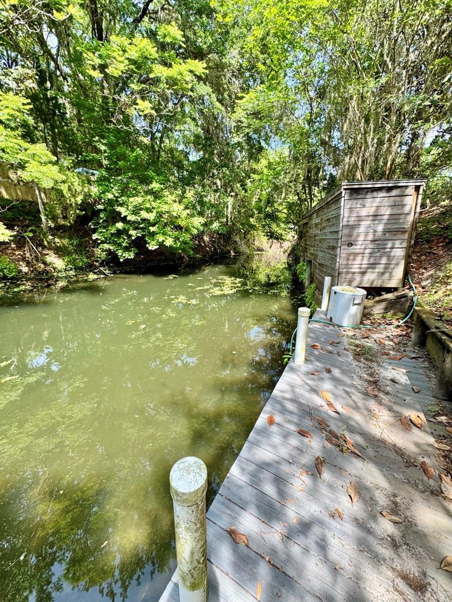 30391 97th, Salt Springs, FL 32134