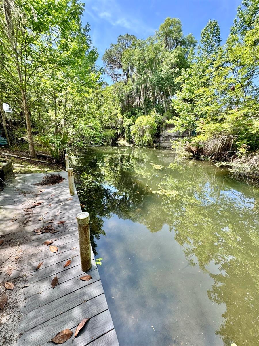30391 97th, Salt Springs, FL 32134