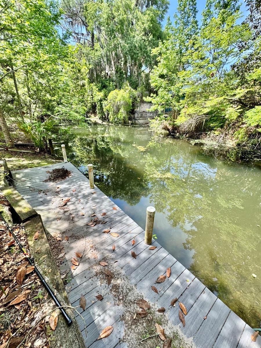 30391 97th, Salt Springs, FL 32134