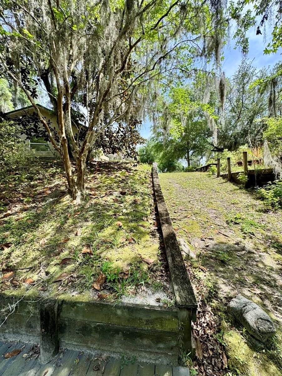 30391 97th, Salt Springs, FL 32134