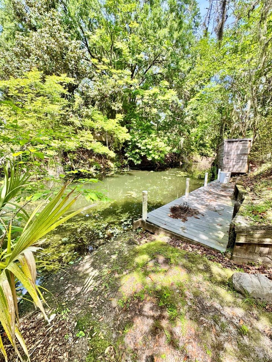 30391 97th, Salt Springs, FL 32134