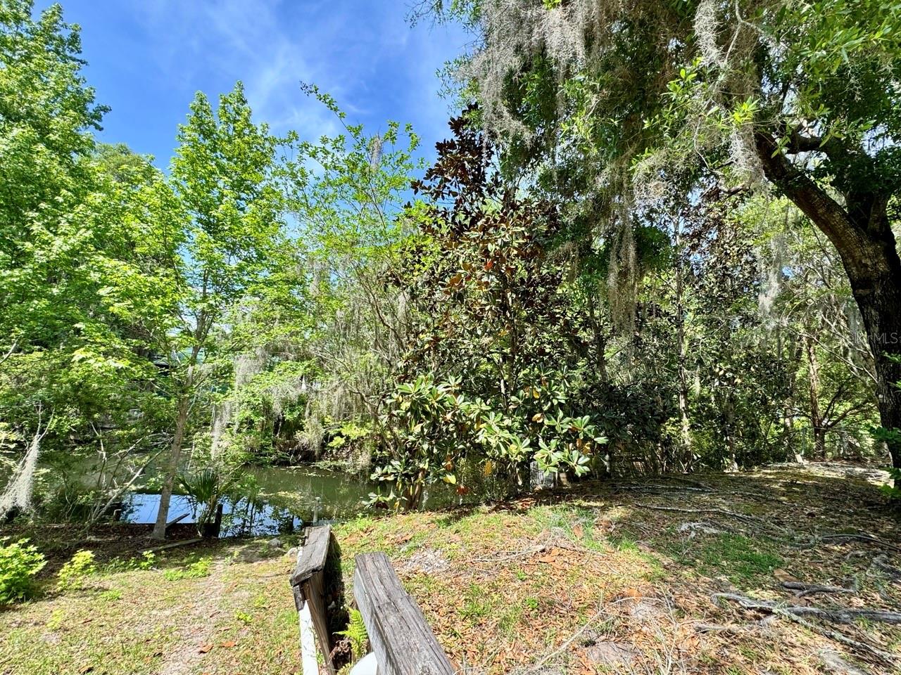 30391 97th, Salt Springs, FL 32134